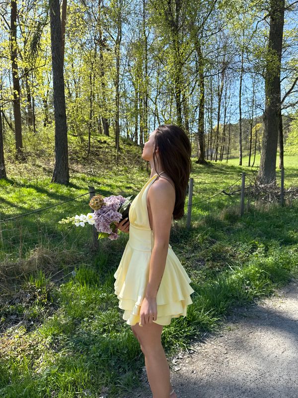 Nia Halter Mini Dress