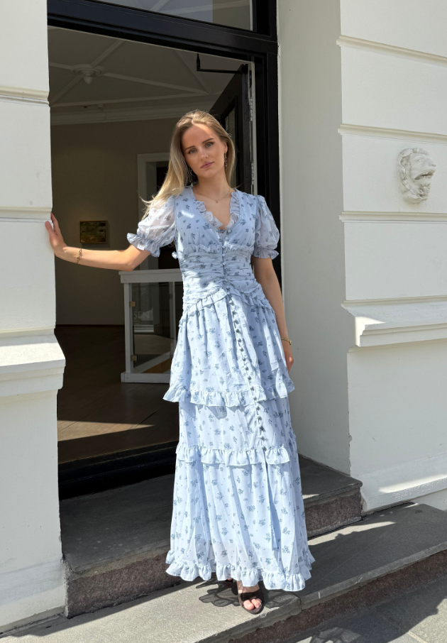 ArielIC Long Dress