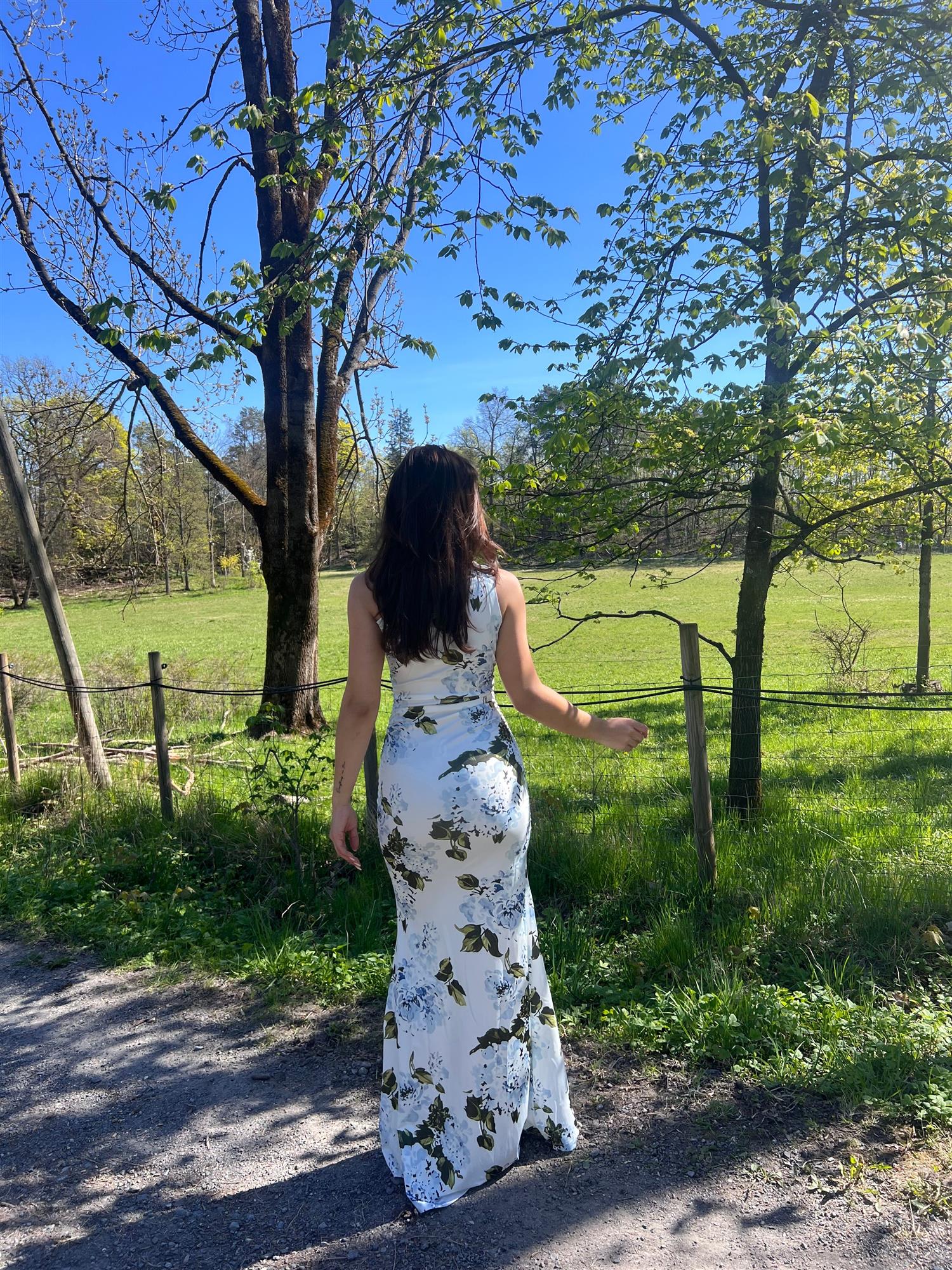 Andreaic Maxi Dress