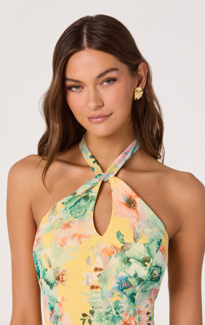 Bethina Midi Dress