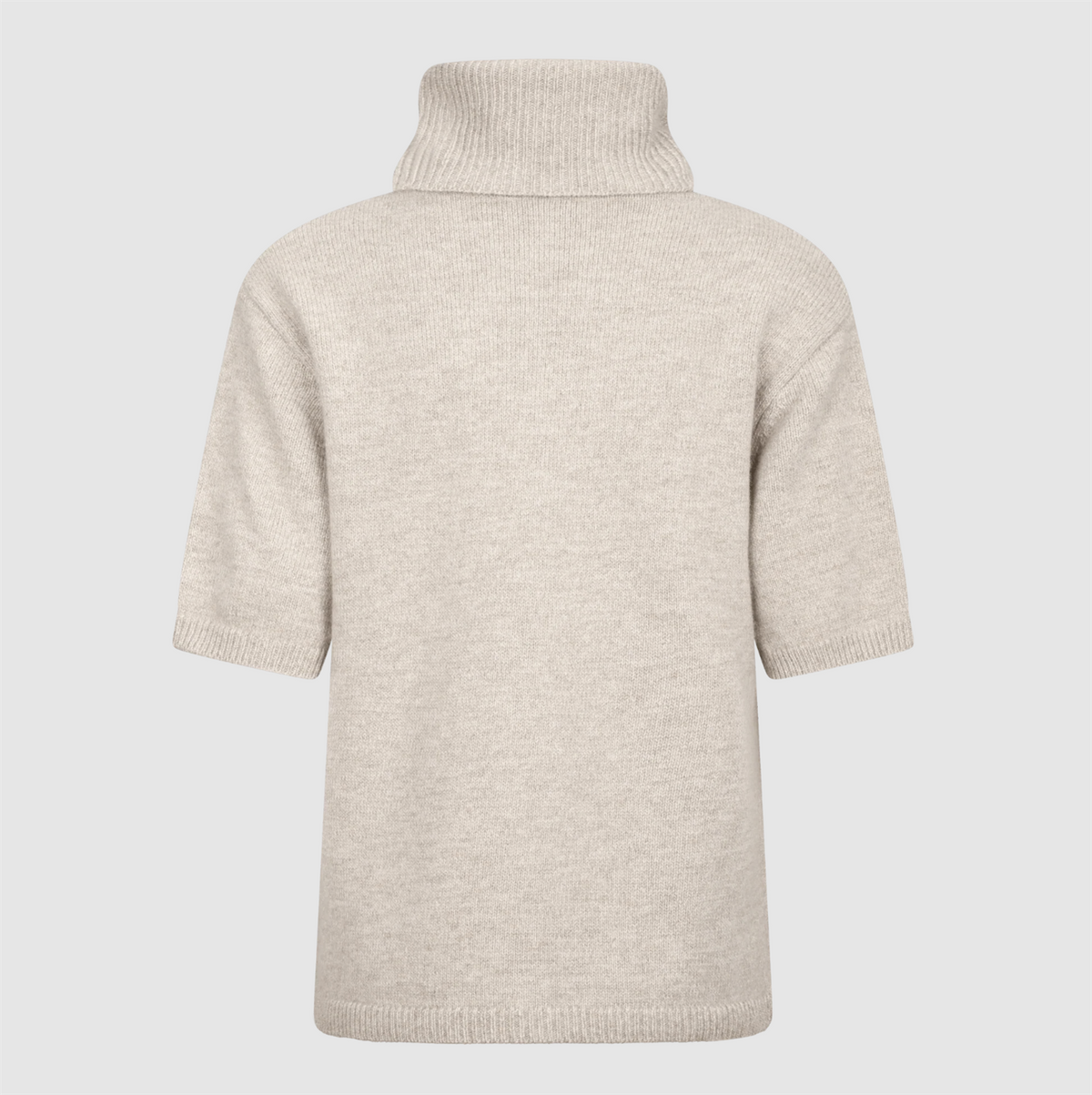 Arwyn SS Turtleneck