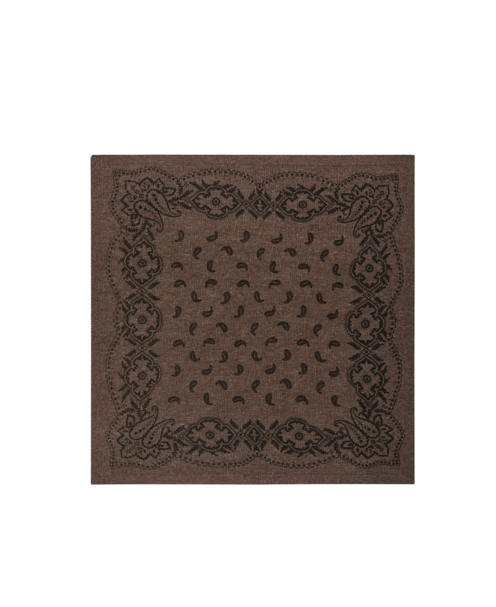 Adelina Paisley Knit Scarf