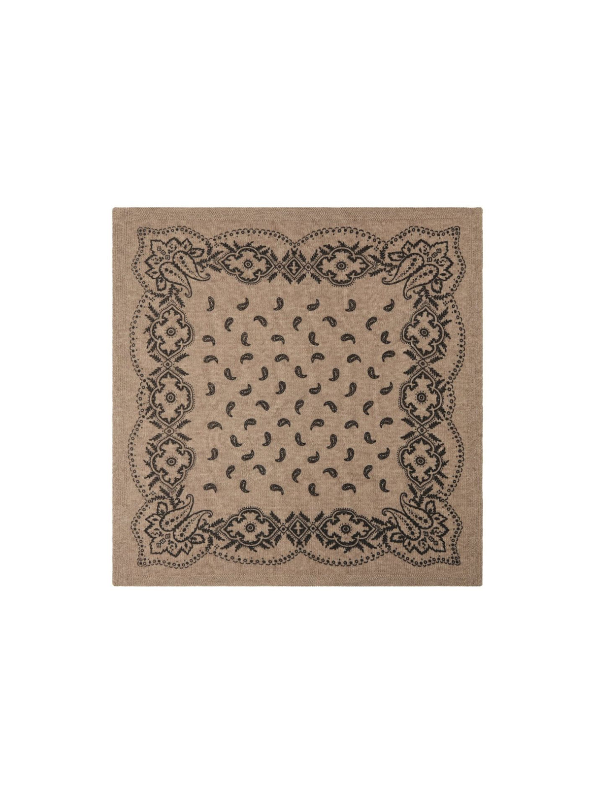 Adelina Paisley Knit Scarf