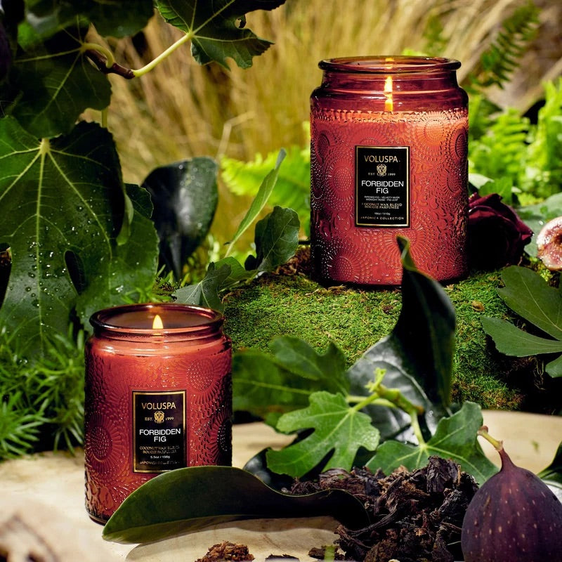 Large Jar Candle 510g - Forbidden Fig