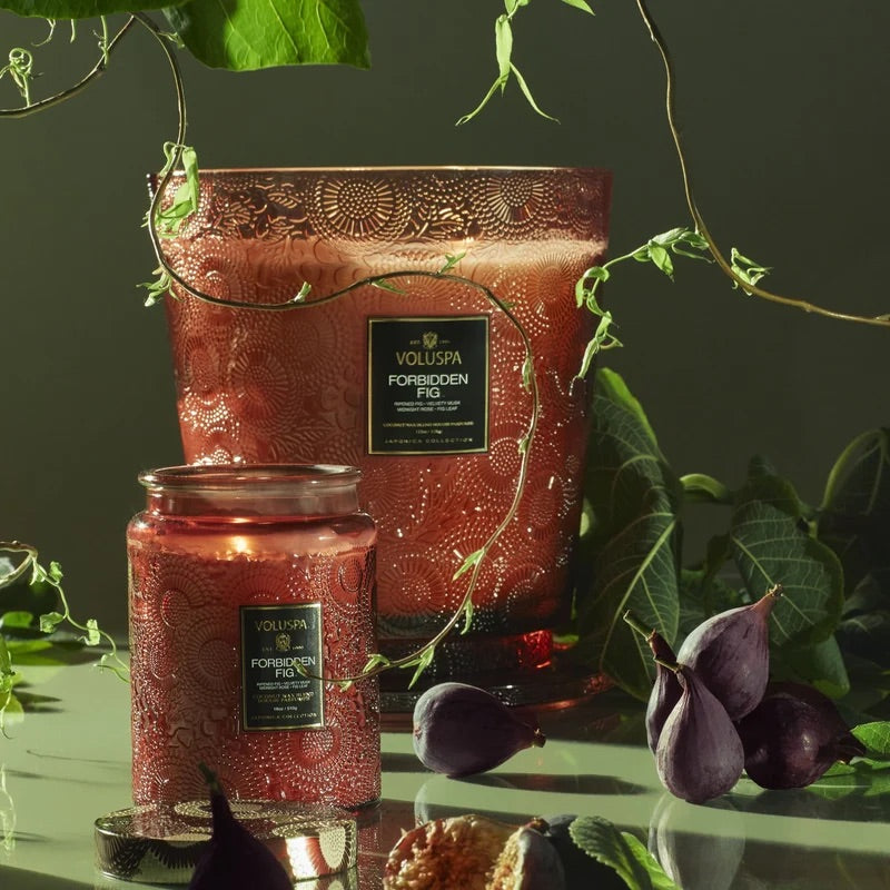 Large Jar Candle 510g - Forbidden Fig