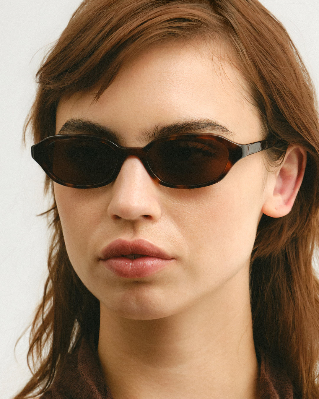 Aidan Tortoise Brown