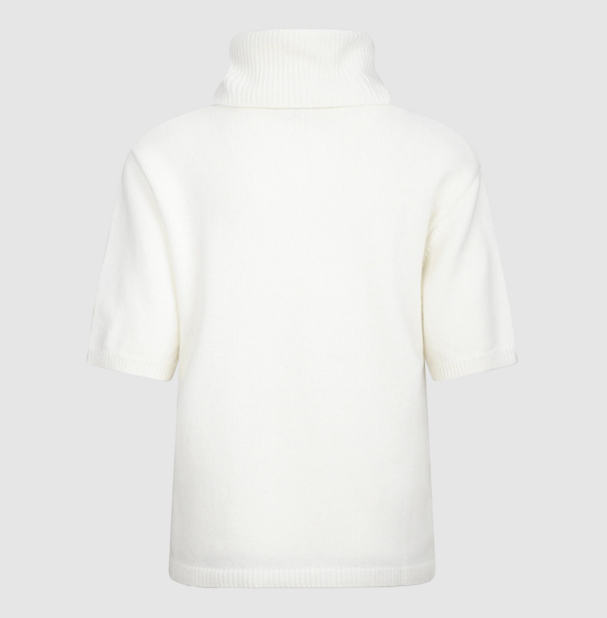 Arwyn SS Turtleneck
