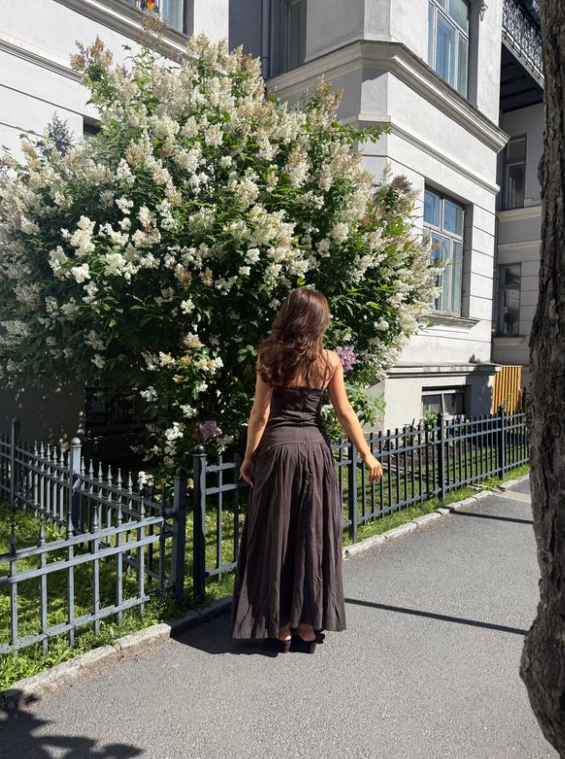 Jackie S Voile Dress