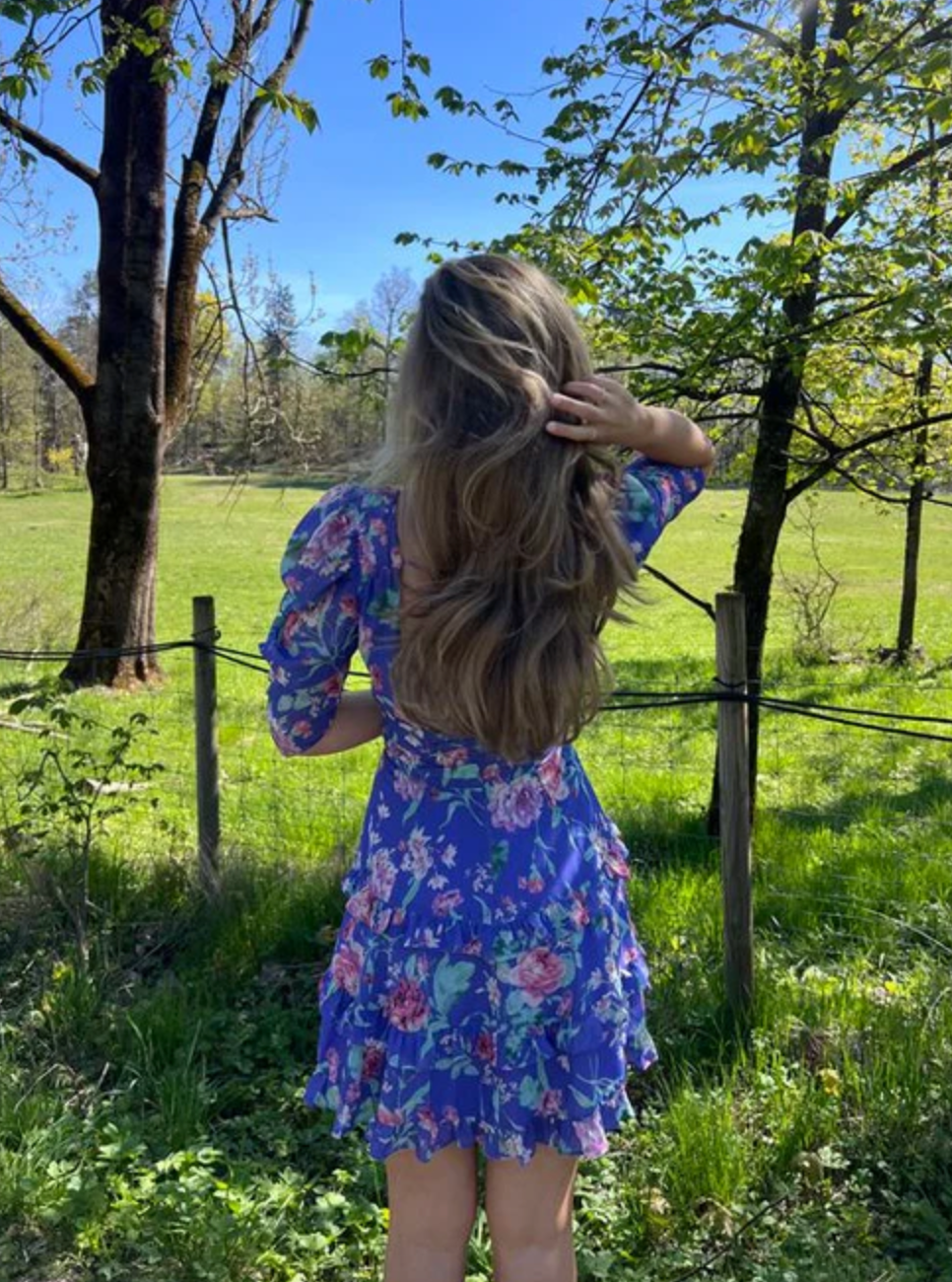 Isla Mini Dress - Violet Rosette