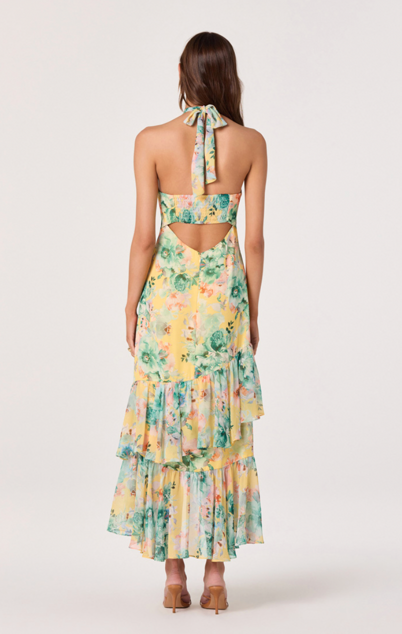 Bethina Midi Dress