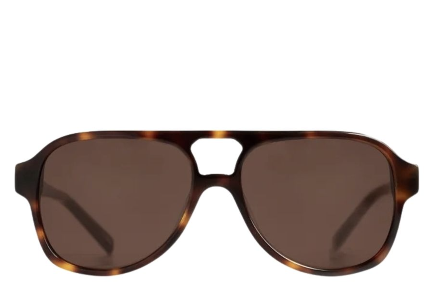 Gelo Tortoise Cinnamon