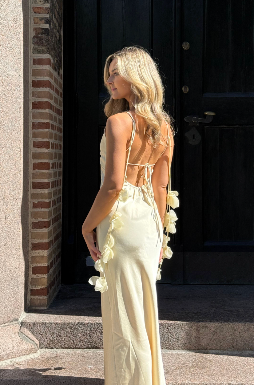 Colly Heavy Sateen Dress