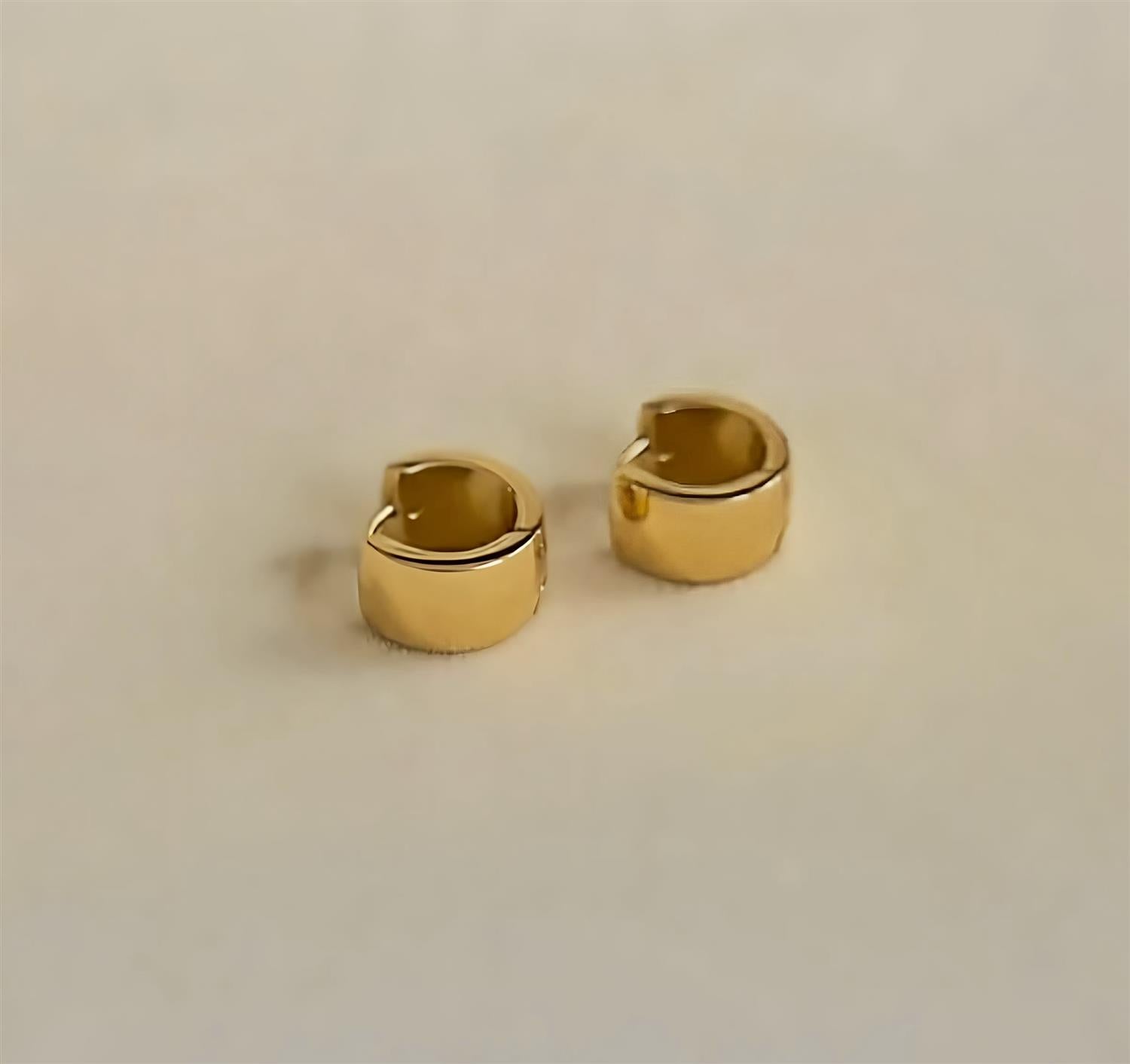 Daniela Earring Tilbehør