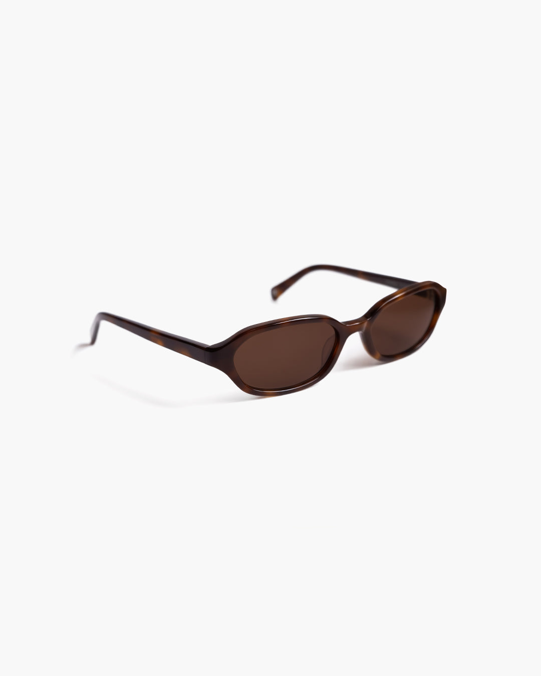 Aidan Tortoise Brown