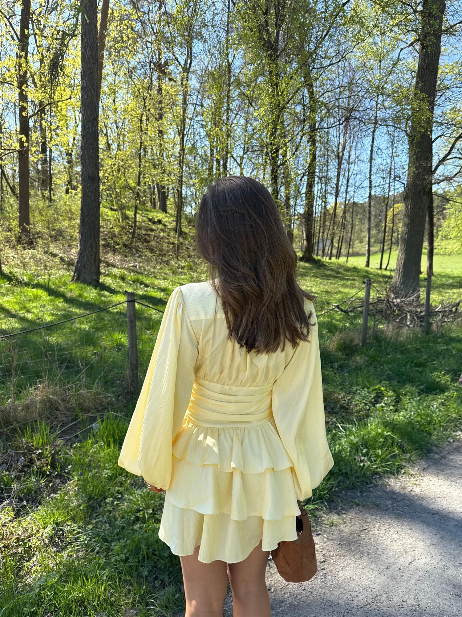 Nadine Belted Ruffle Dress