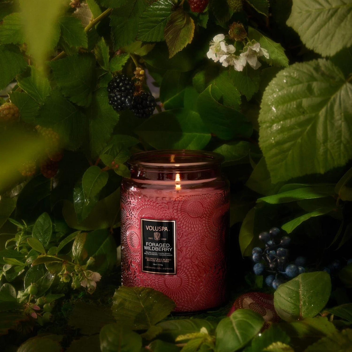 Large Jar Candle 510g - Foraged Wildberry - Tilbehør