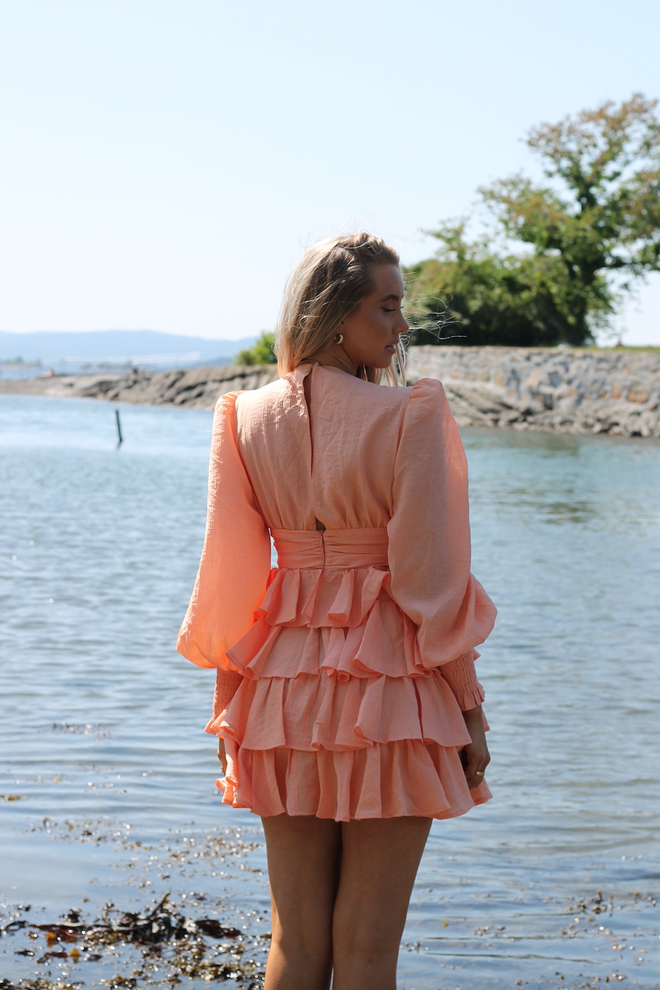 Zarah Ruffle Dress - Kjoler